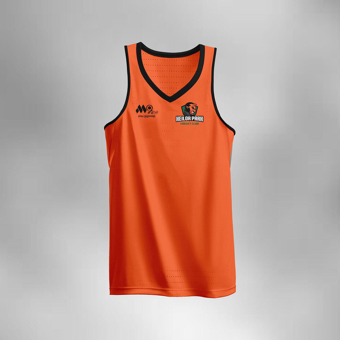 Singlet1